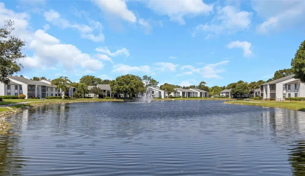 1344 Pine Ridge Circle E Tarpon Springs FL 34688