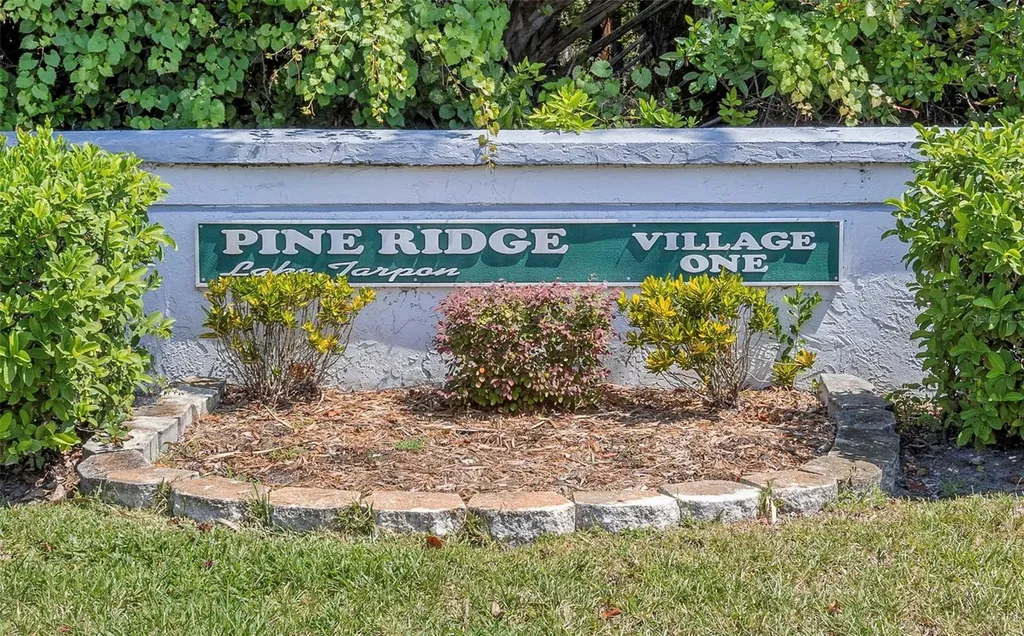 1344 Pine Ridge Circle E Tarpon Springs FL 34688