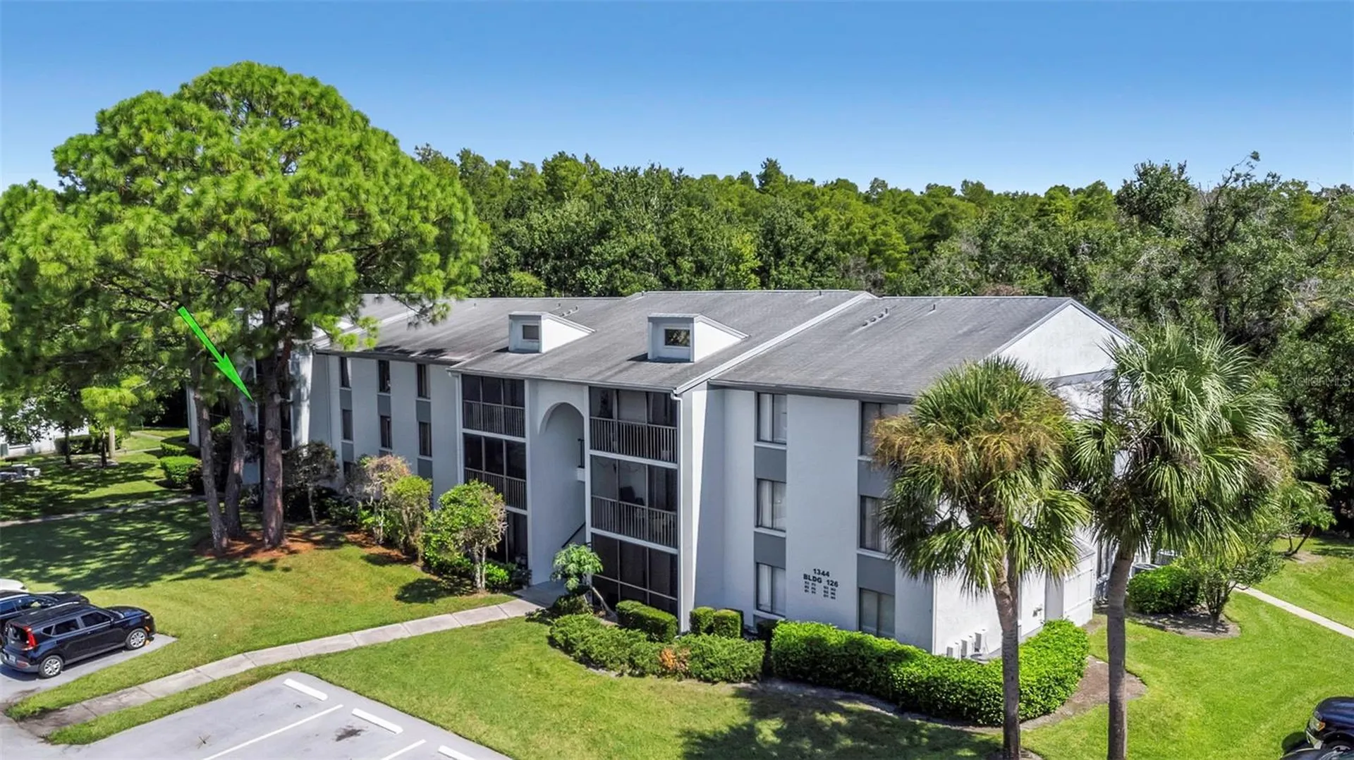 1344 Pine Ridge Circle E Tarpon Springs FL 34688