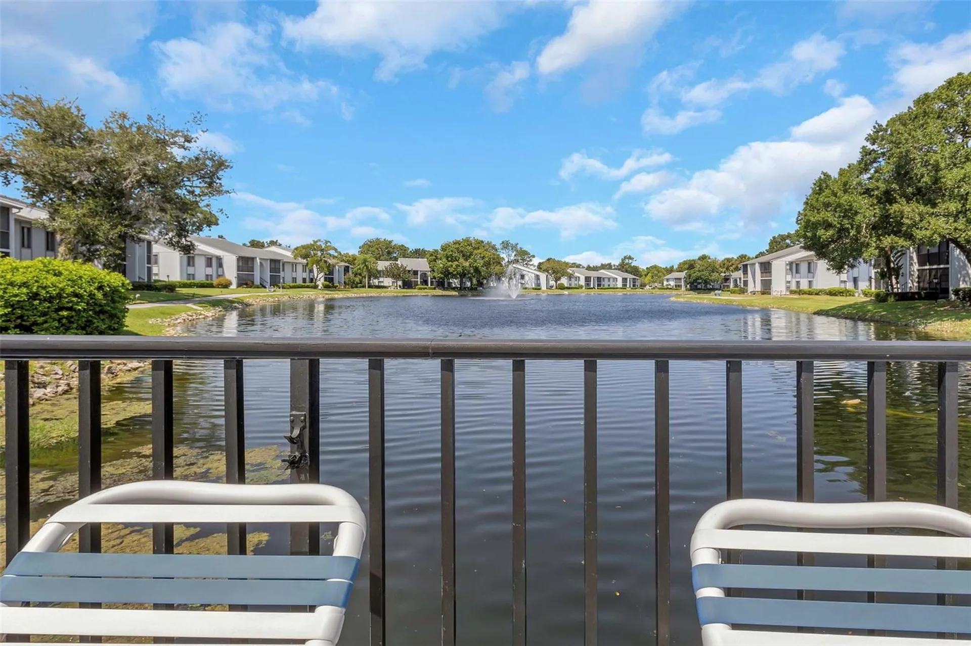 1344 Pine Ridge Circle E Tarpon Springs FL 34688