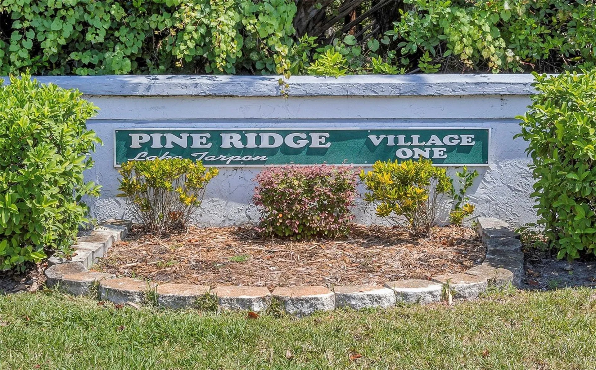 1344 Pine Ridge Circle E Tarpon Springs FL 34688