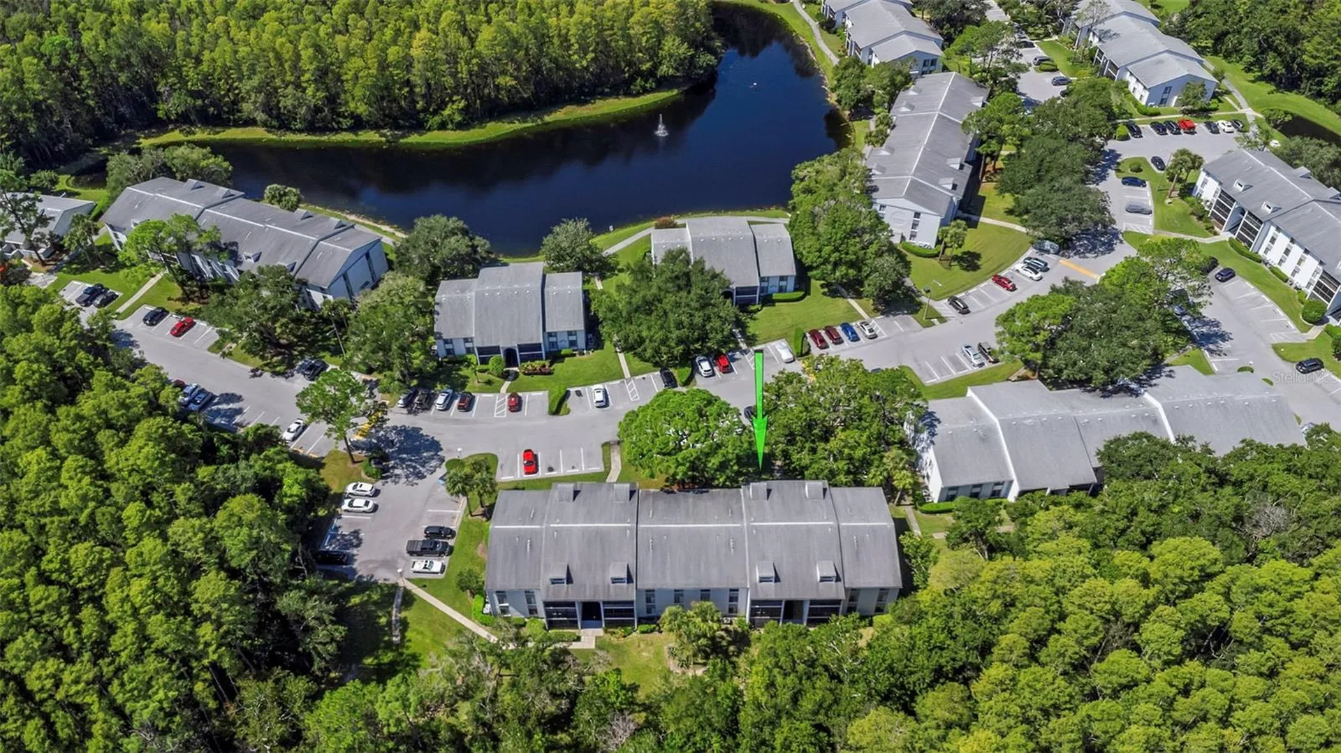 1344 Pine Ridge Circle E Tarpon Springs FL 34688