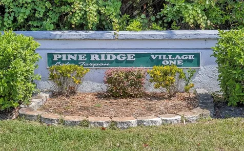 1344 Pine Ridge Circle E Tarpon Springs FL 34688