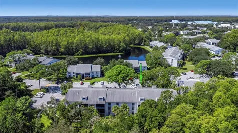 1344 Pine Ridge Circle E Tarpon Springs FL 34688