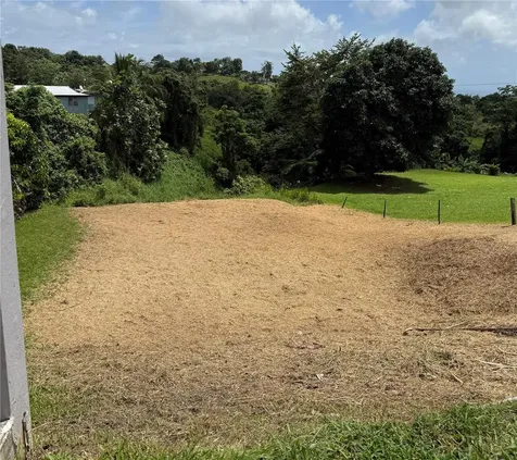 Bo. Tejas Yabucoa PR 00767