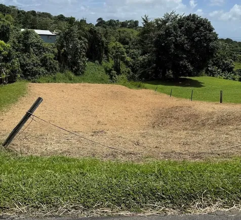 Bo. Tejas Yabucoa PR 00767
