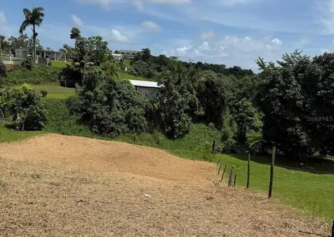 Bo. Tejas Yabucoa PR 00767
