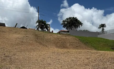 Bo. Tejas Yabucoa PR 00767