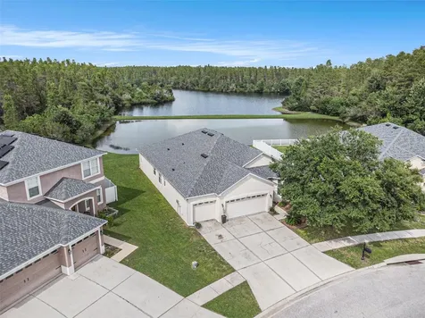 3355 Chessington Drive Land O Lakes FL 34638
