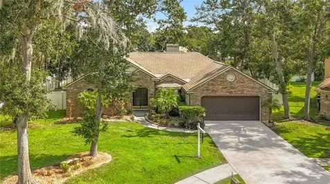 3810 Hollow Wood Drive Valrico FL 33596