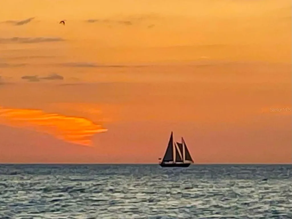 1230 Gulf Boulevard Clearwater Beach FL 33767
