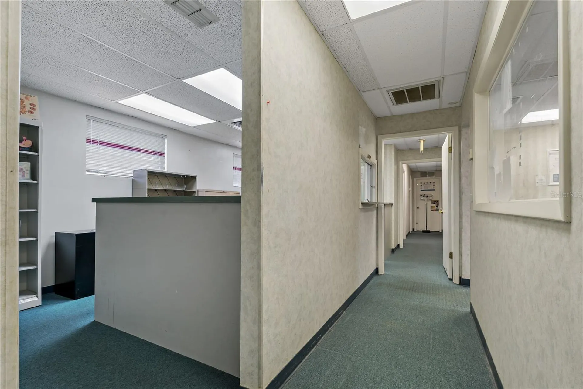 3709 W Hamilton Avenue Tampa FL 33614