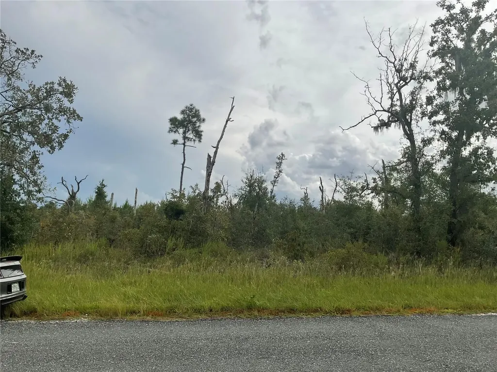 13101 Thrasher Avenue Weeki Wachee FL 34614