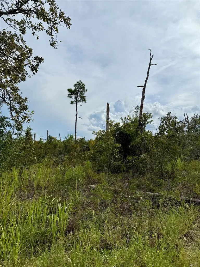 13101 Thrasher Avenue Weeki Wachee FL 34614