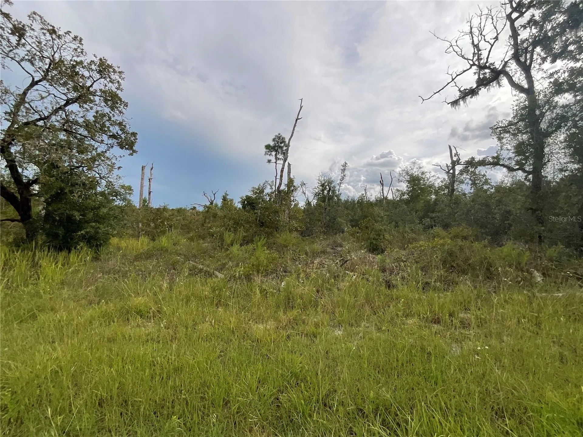 13101 Thrasher Avenue Weeki Wachee FL 34614