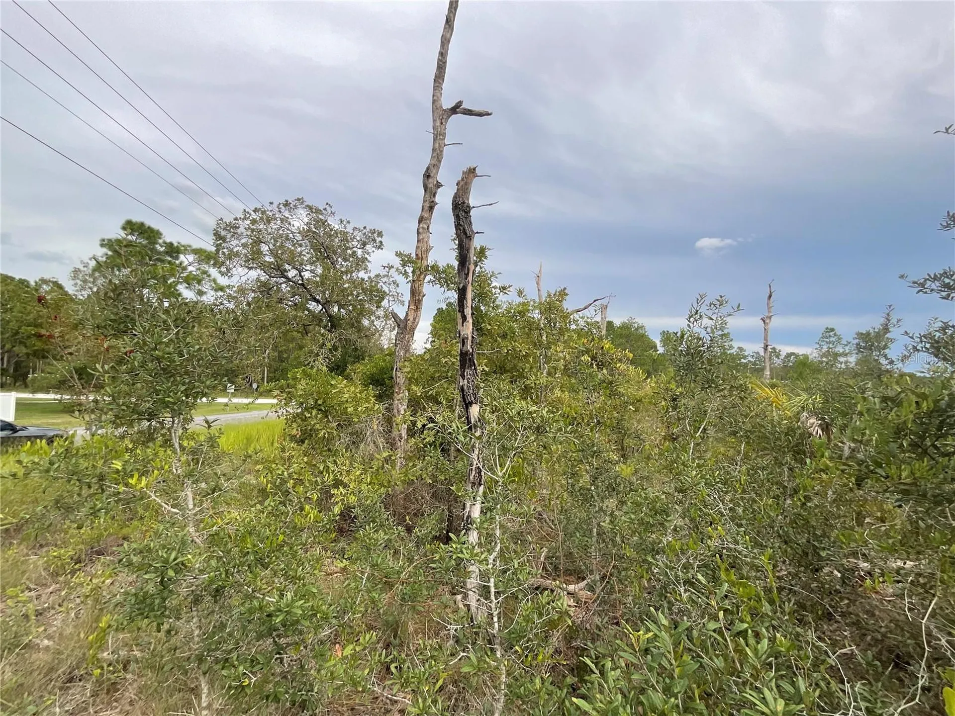 13101 Thrasher Avenue Weeki Wachee FL 34614