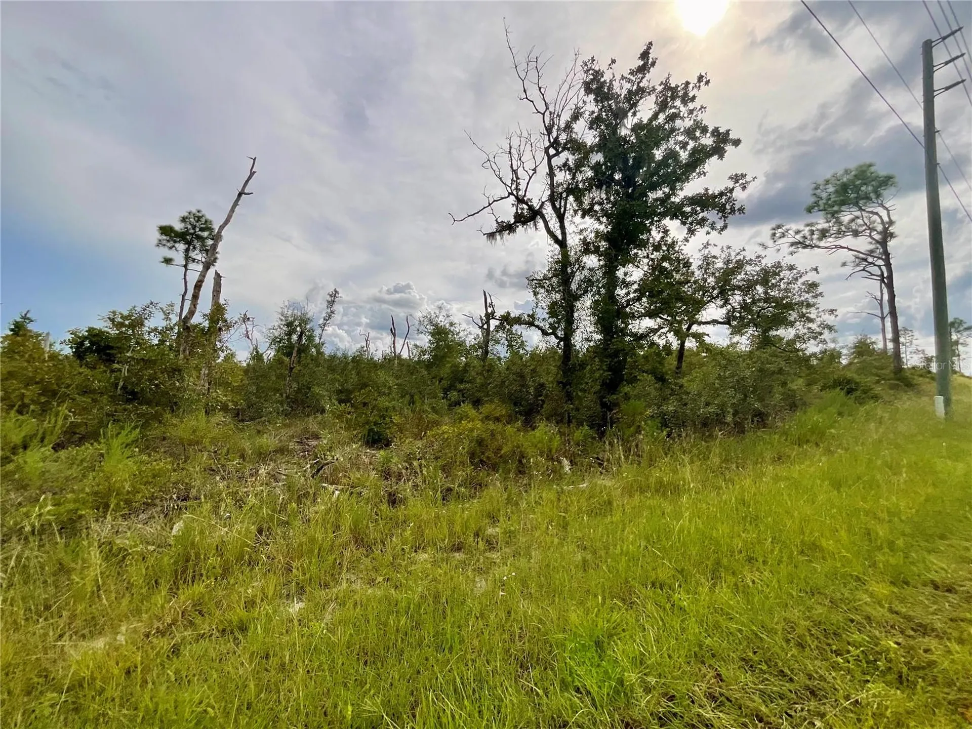 13101 Thrasher Avenue Weeki Wachee FL 34614