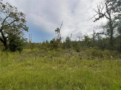 13101 Thrasher Avenue Weeki Wachee FL 34614