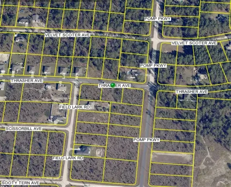 13101 Thrasher Avenue Weeki Wachee FL 34614