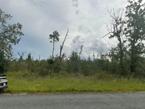 13101 Thrasher Avenue Weeki Wachee FL 34614