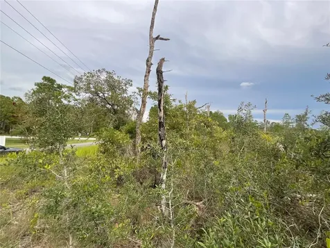 13101 Thrasher Avenue Weeki Wachee FL 34614