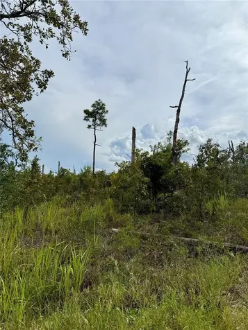 13101 Thrasher Avenue Weeki Wachee FL 34614