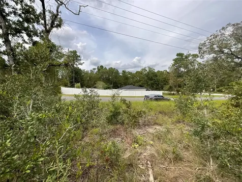13101 Thrasher Avenue Weeki Wachee FL 34614