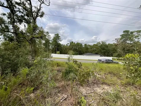 13101 Thrasher Avenue Weeki Wachee FL 34614