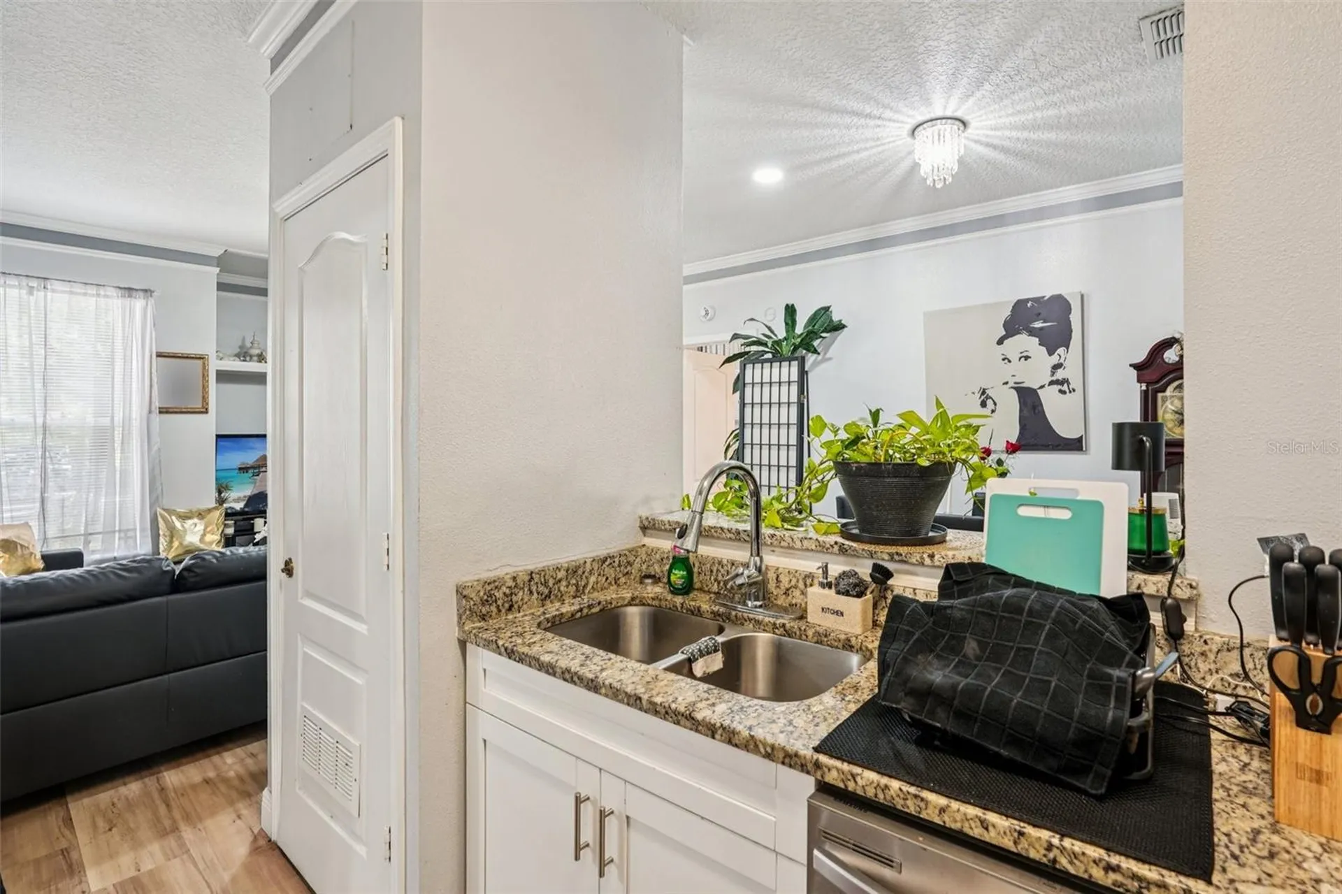 10505 Villa View Circle Tampa FL 33647