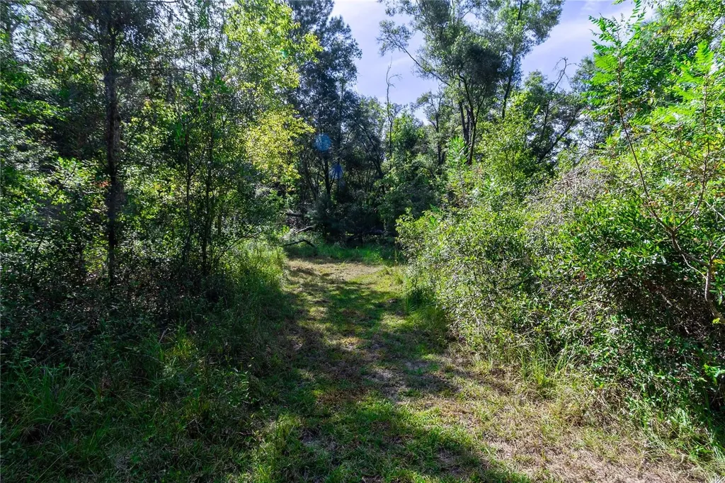 5301 NW County Road 235 Alachua FL 32615