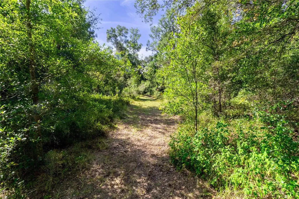 5301 NW County Road 235 Alachua FL 32615