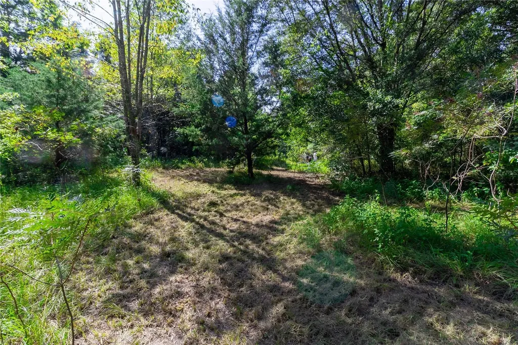 5301 NW County Road 235 Alachua FL 32615