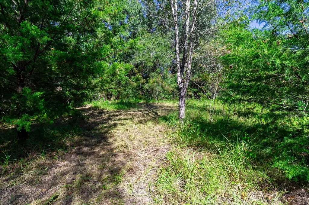 5301 NW County Road 235 Alachua FL 32615