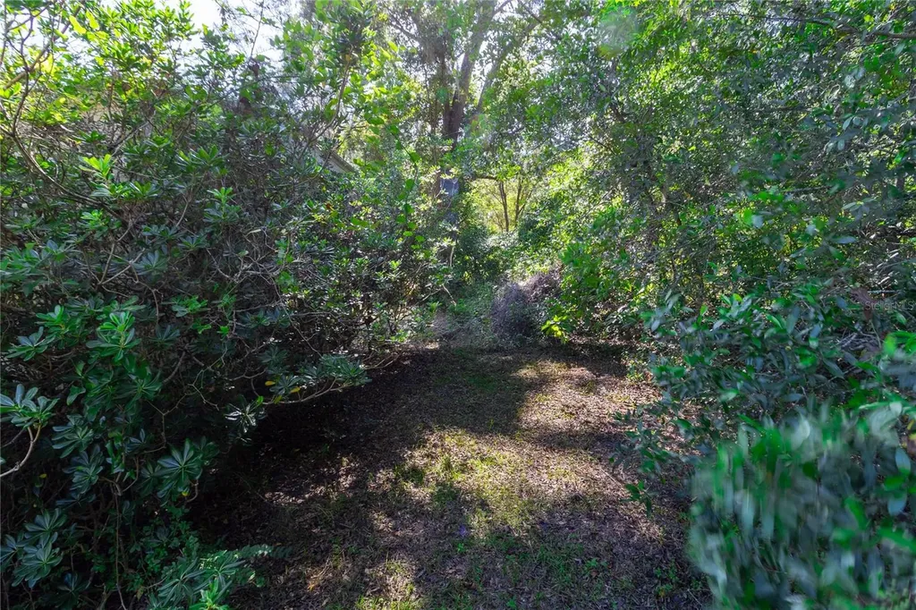 5301 NW County Road 235 Alachua FL 32615