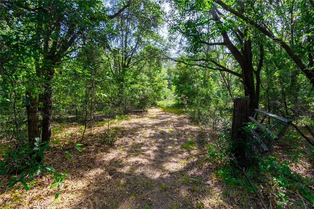 5301 NW County Road 235 Alachua FL 32615