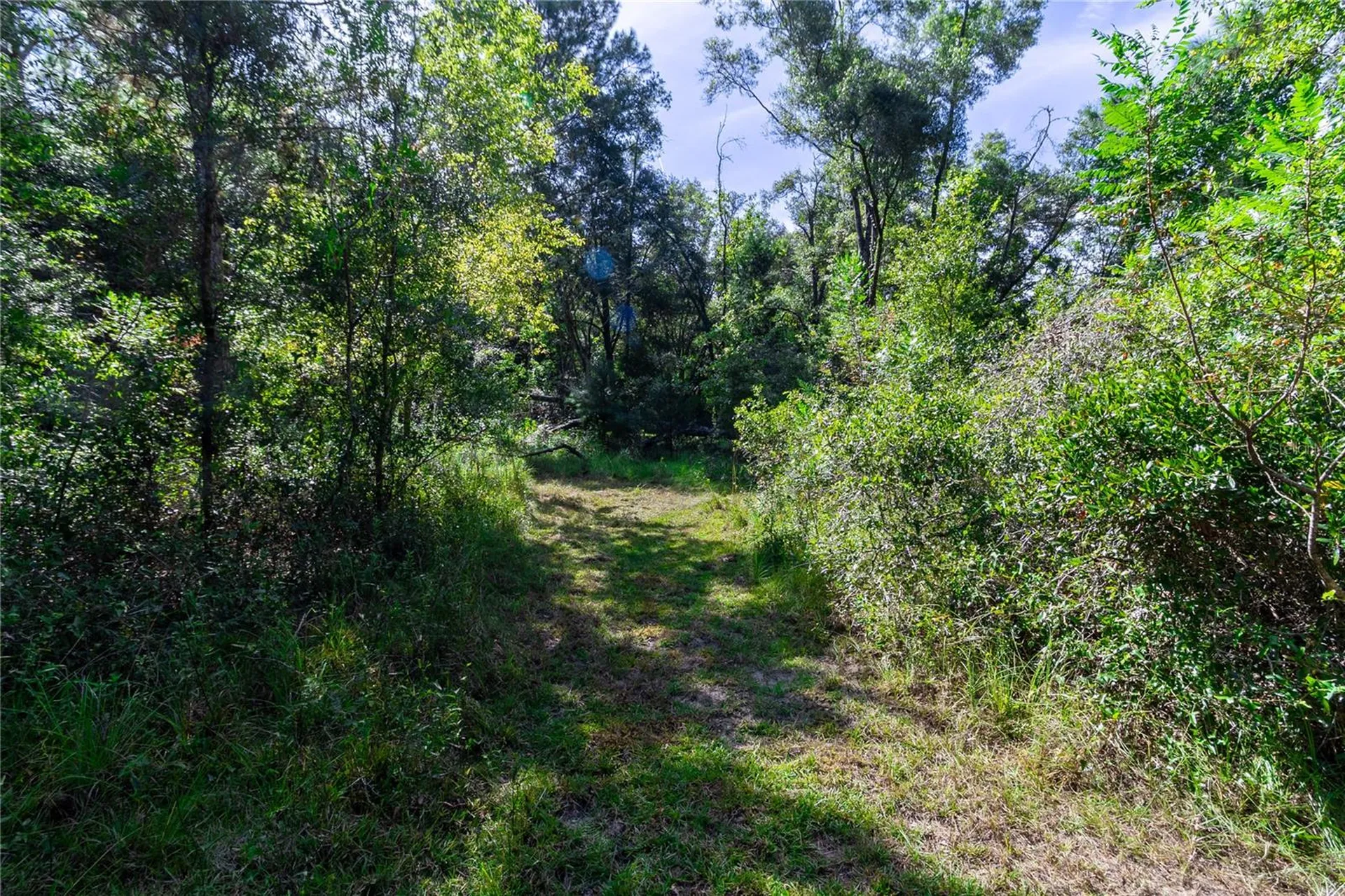 5301 NW County Road 235 Alachua FL 32615