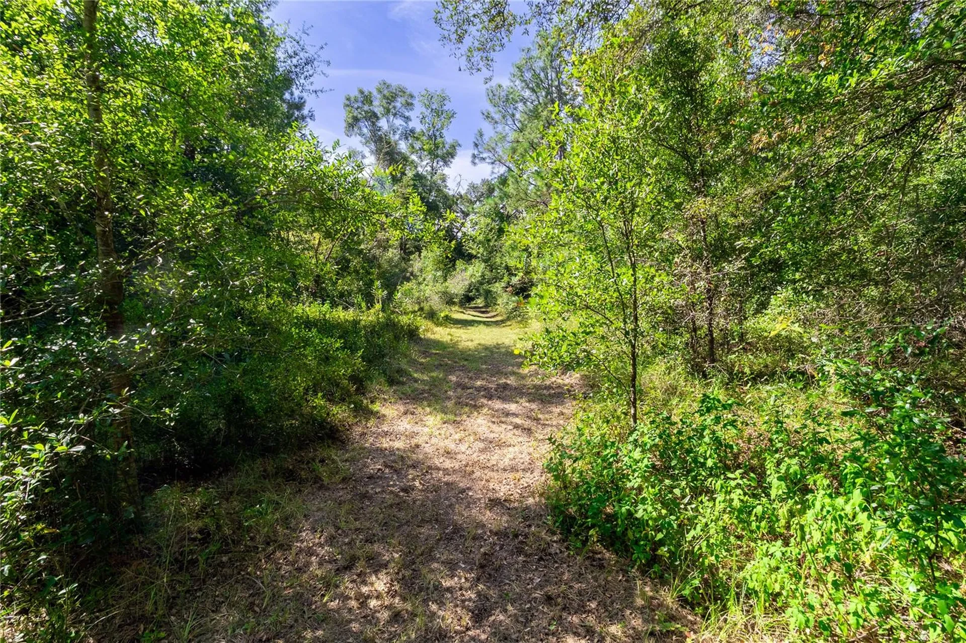 5301 NW County Road 235 Alachua FL 32615