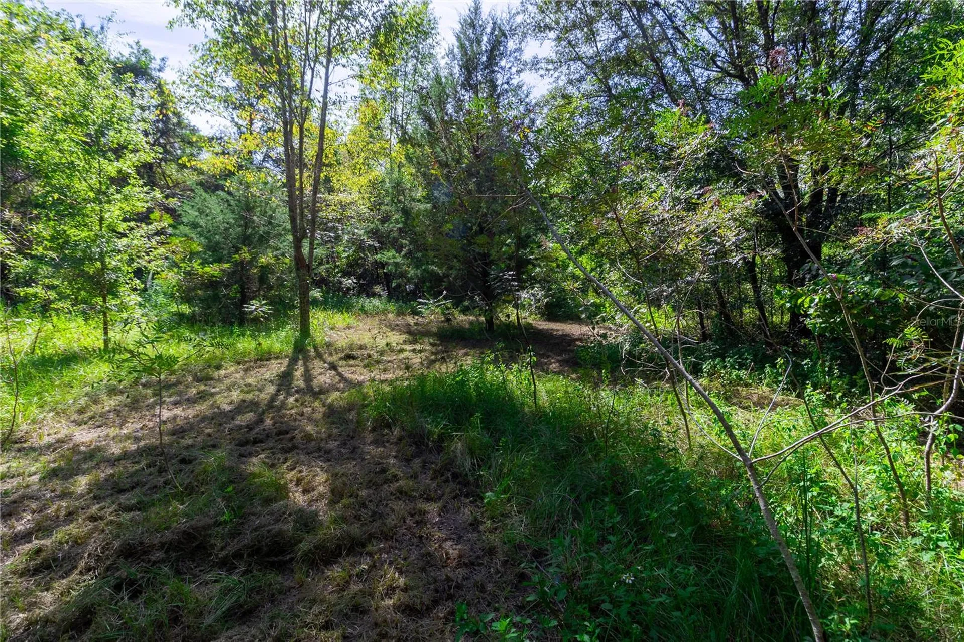 5301 NW County Road 235 Alachua FL 32615