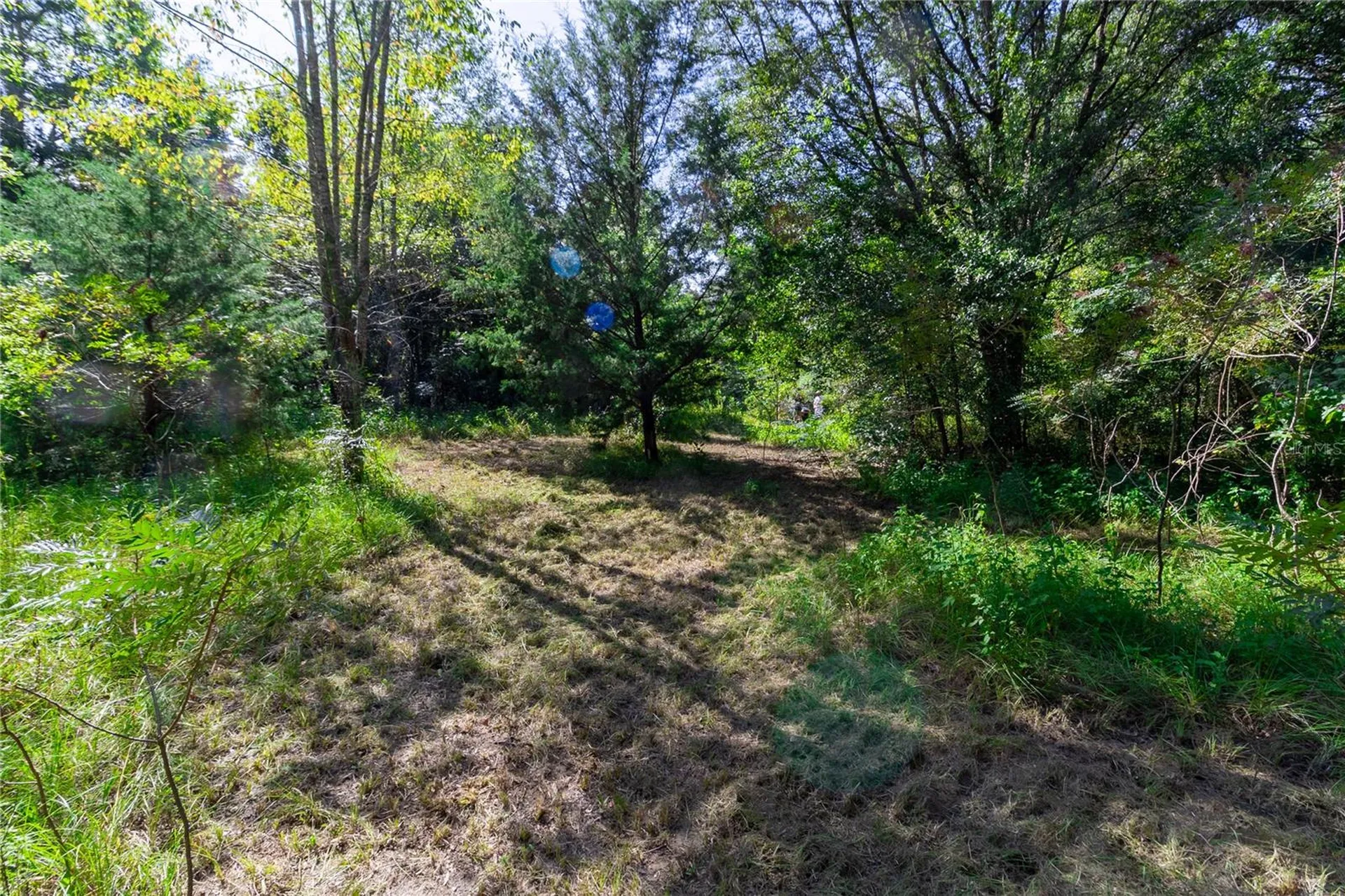 5301 NW County Road 235 Alachua FL 32615