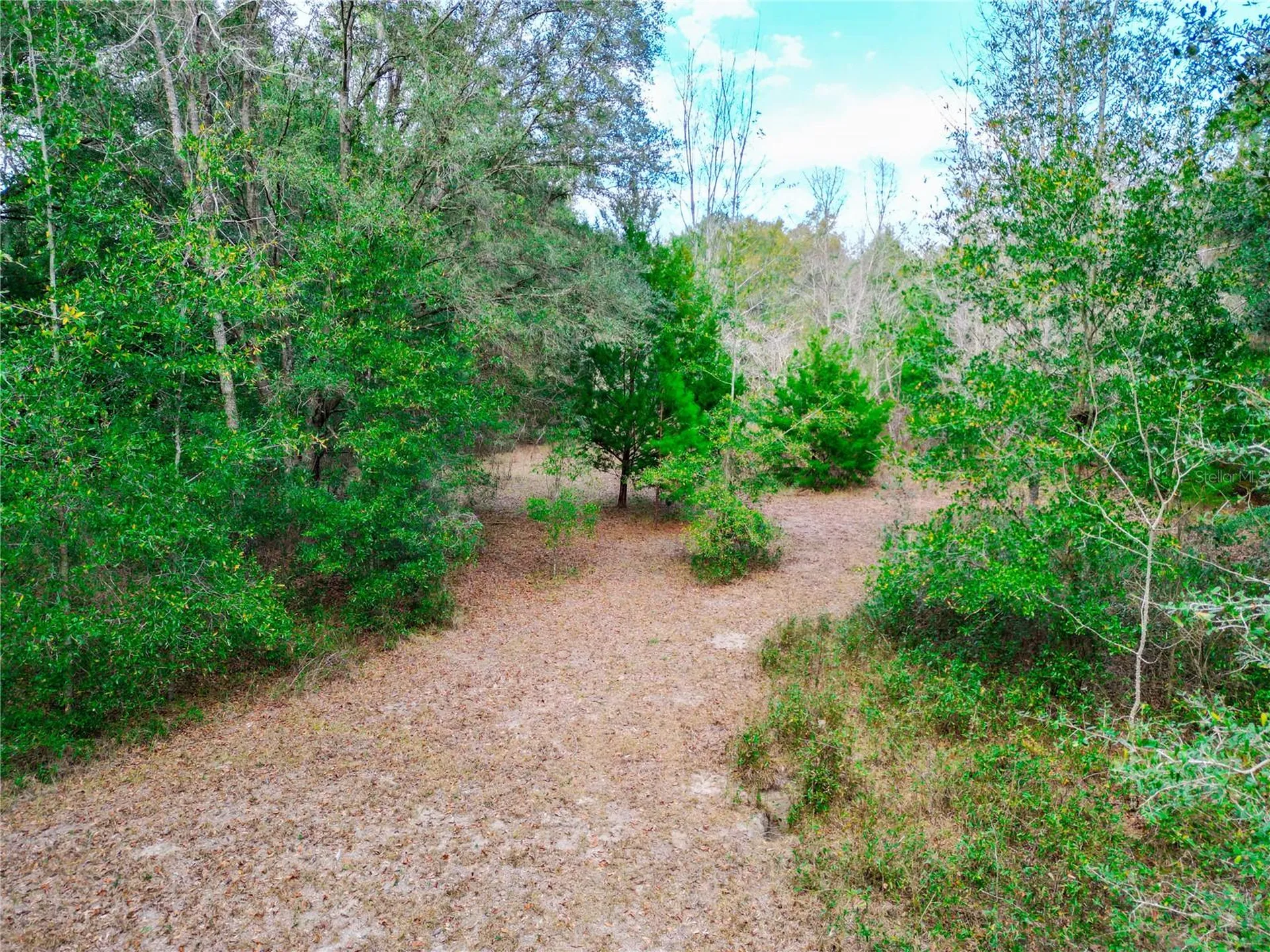 5301 NW County Road 235 Alachua FL 32615