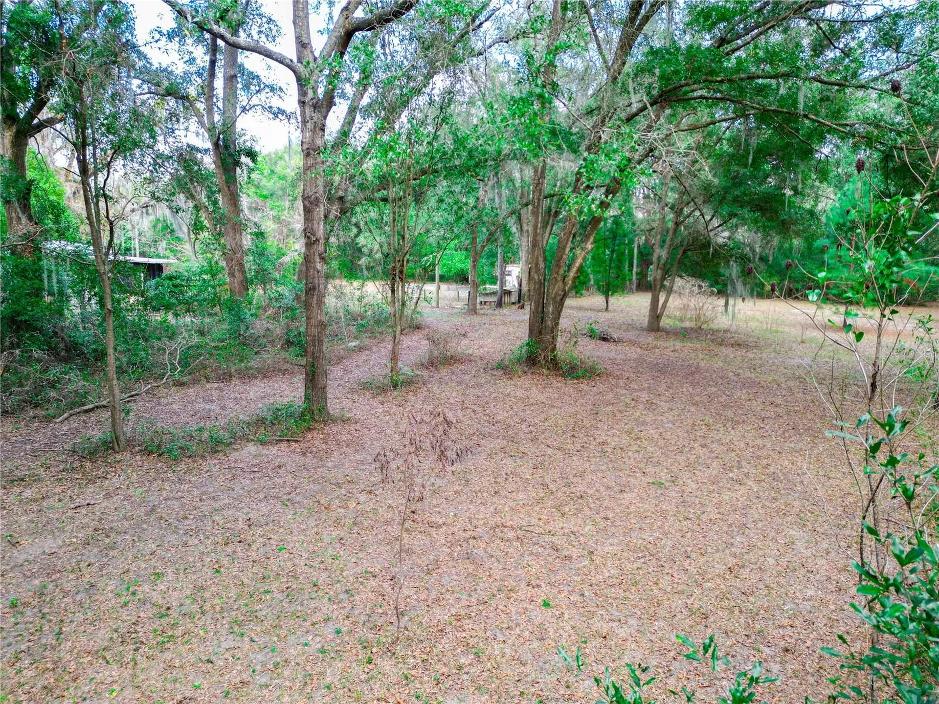 5301 NW County Road 235 Alachua FL 32615