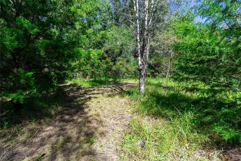 5301 NW County Road 235 Alachua FL 32615