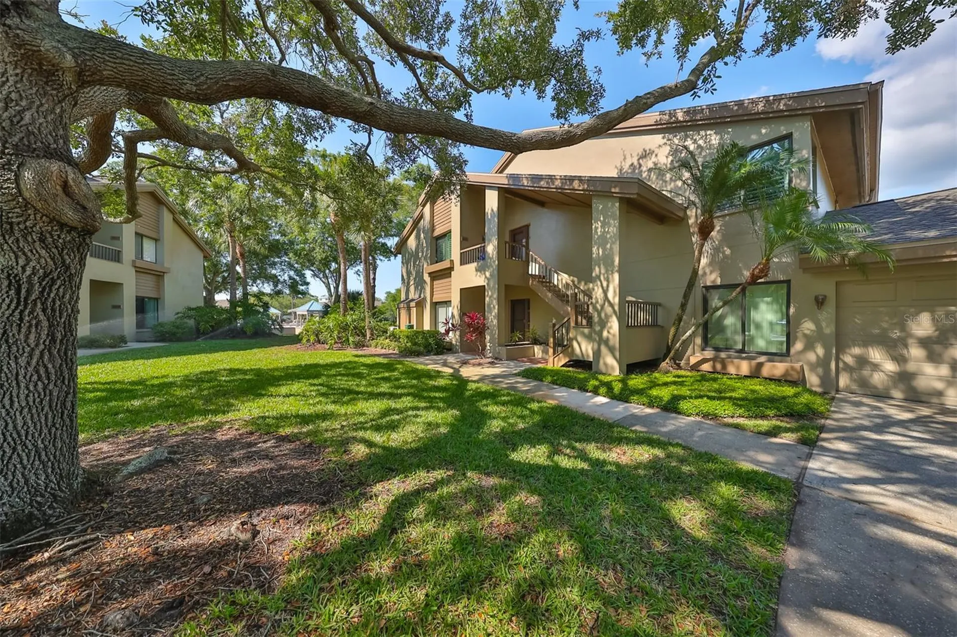 3095 Landmark Boulevard Palm Harbor FL 34684