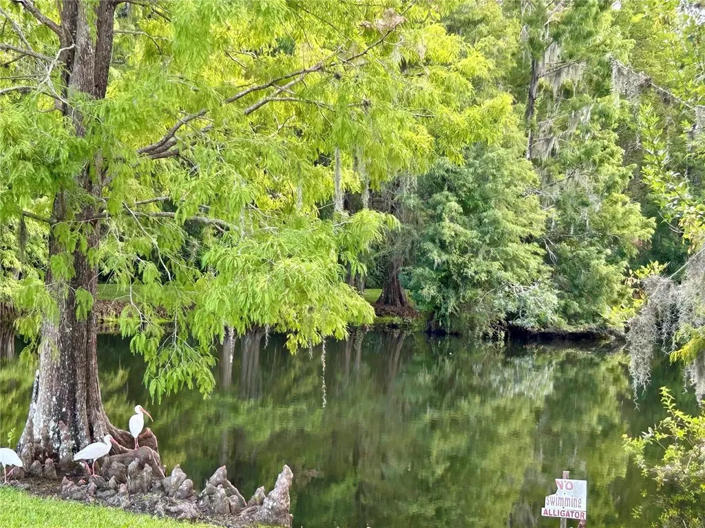 1112 Feather Lane Bowling Green FL 33834