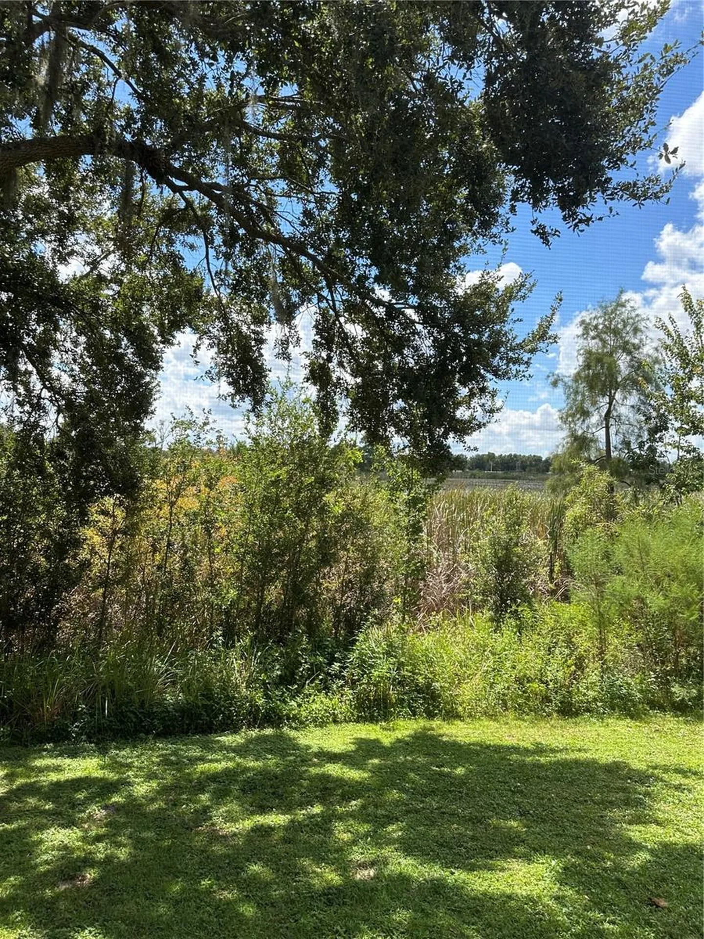 3123 Sun Lake Court Kissimmee FL 34747