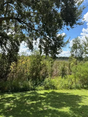 3123 Sun Lake Court Kissimmee FL 34747