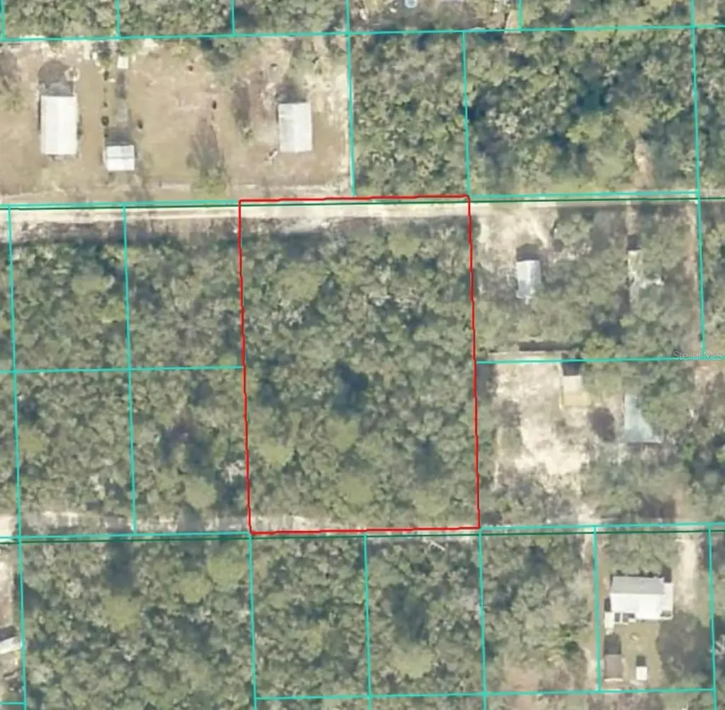 Lot 21 NE Street Fort Mc Coy FL 32134