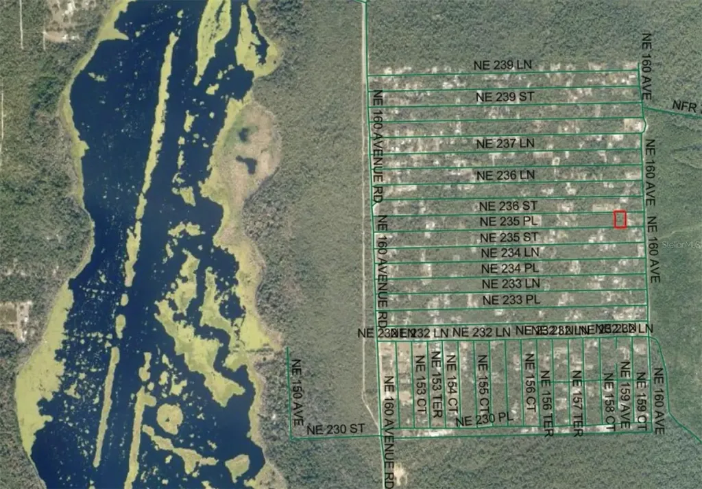 Lot 21 NE Street Fort Mc Coy FL 32134