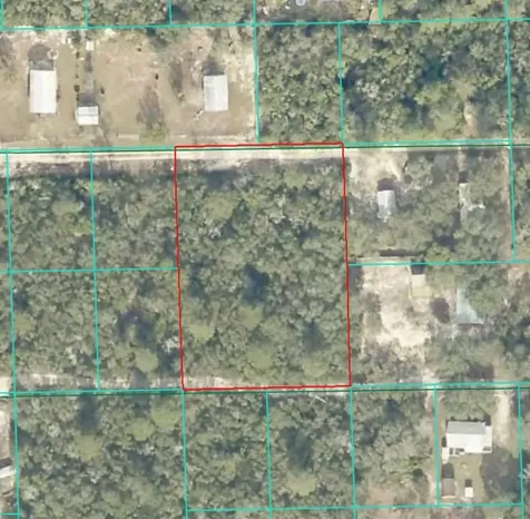 Lot 21 NE Street Fort Mc Coy FL 32134