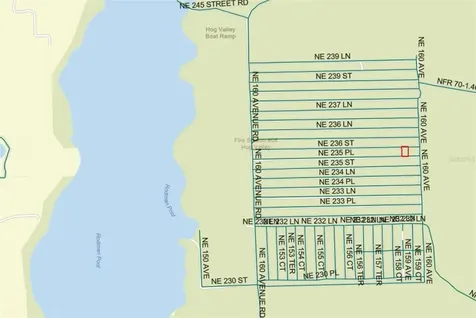 Lot 21 NE Street Fort Mc Coy FL 32134